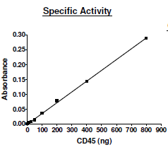 CD45(PTPRC), His-tag