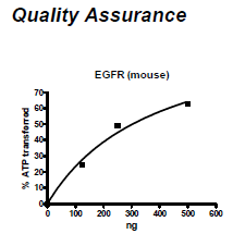 Mouse EGFR, FLAG-tag