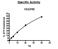 VEGFR2 (KDR), GST-tag