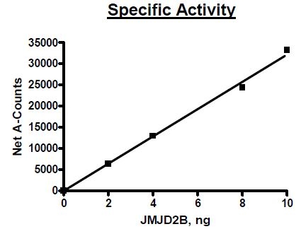 JMJD2B (KDM4B), GST-tag