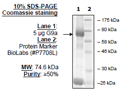 G9a (EHMT2), GST-tag (Sf9-derived)
