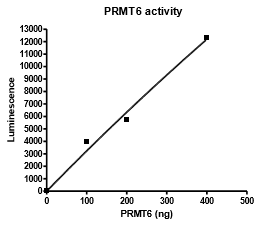 PRMT6 (HRMT1L6) Chemiluminescent Assay Kit
