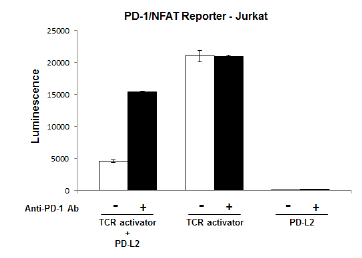 PD-1 / NFAT Reporter - Jurkat Cell Line