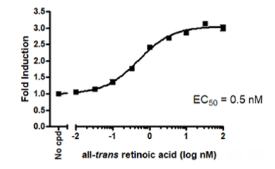Dose response curve of RARγ Luciferase Reporter HEK293 Cell Line to all-trans retinoic acid (ATRA). 