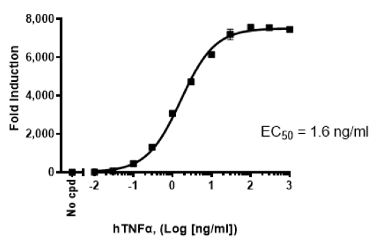 Dose response curve of NF-κB Reporter (Luc) HEK293 Cell Line to hTNFα