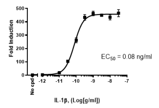 Dose response of NF-κB Reporter (Luc) HEK293 Cell Line to IL-1β. 