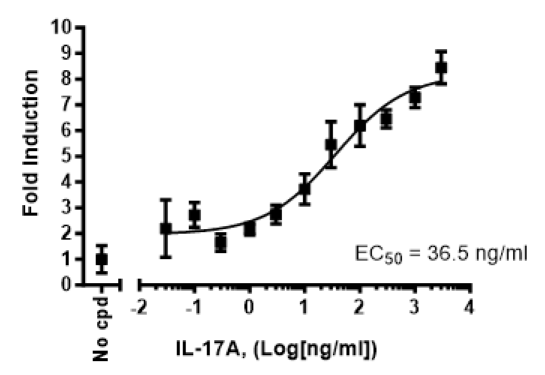 Dose response curve of NF-κB reporter (Luc) HEK293 Cell Line to IL-17A.