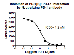 Anti-PD-1 Neutralizing Antibody