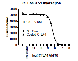 Anti-CTLA4 (CD152) Neutralizing Antibody