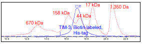 TIM-3, Biotin-labeled, His-tag