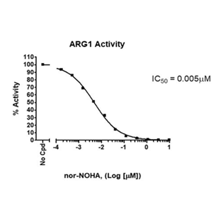 ARG1 Inhibitor Screening Assay Kit ARG1 72048