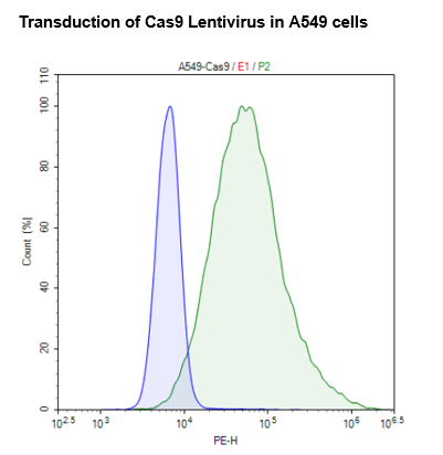Cas9 Lentivirus (Puromycin Selection)