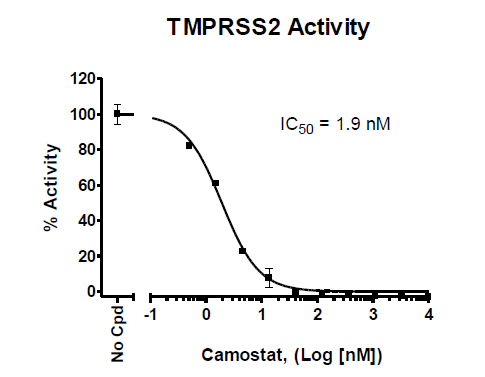 TMPRSS2 Fluorogenic Assay Kit