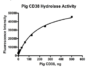 CD38 (Pig) Fluorogenic Assay Kit (H