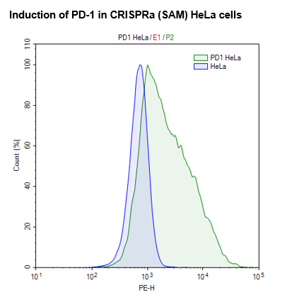 CRISPRa (SAM) HeLa Cell Line