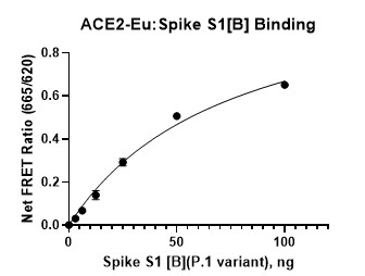 Spike S1 (P.1; Gamma Variant) (SARS-CoV-2): ACE2 TR-FRET Assay Kit