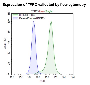 Transferrin Receptor Protein-1 (TFR
