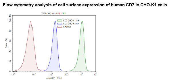 CD7 CHO Cell Line (Medium or High Expression)-78324-H
