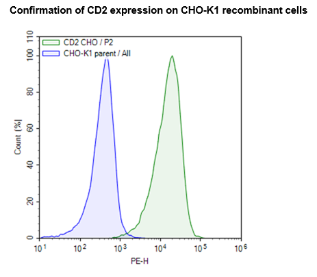 CD2 CHO Cell Line