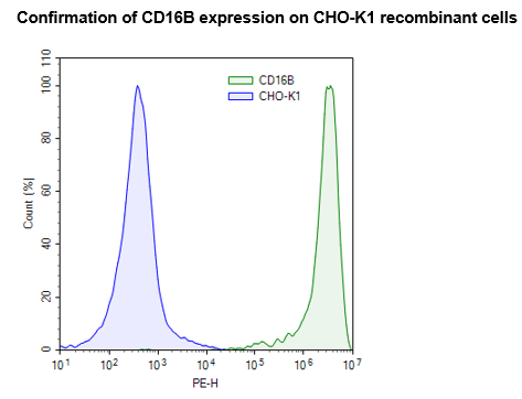 FcGR3B (CD16B) CHO Cell Line