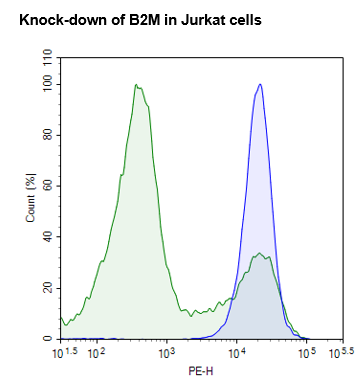 B2M (Human) CRISPR/Cas9 Lentivirus (Non-Integrating)