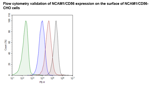 NCAM1 (CD56) CHO Cell Line (High, Medium, or Low Expression)-78352-L