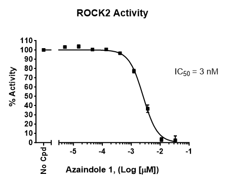 ROCK2 Kinase Assay Kit ROCK2 78407
