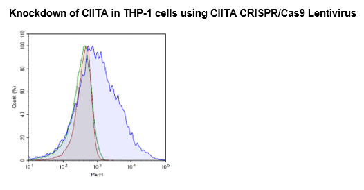 CIITA (Human) CRISPR/Cas9 Lentivirus (Integrating)