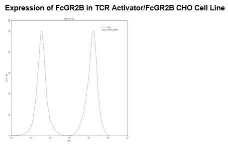 TCR Activator/FcGR2B CHO Cell Line