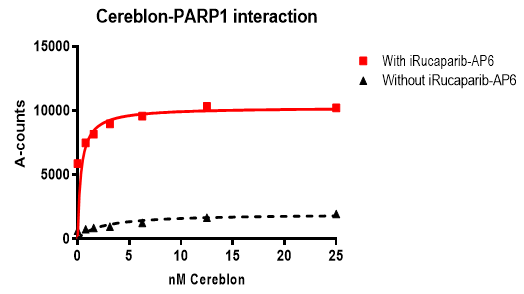 PROTAC(r) Optimization Kit for PARP1-Cereblon Binding