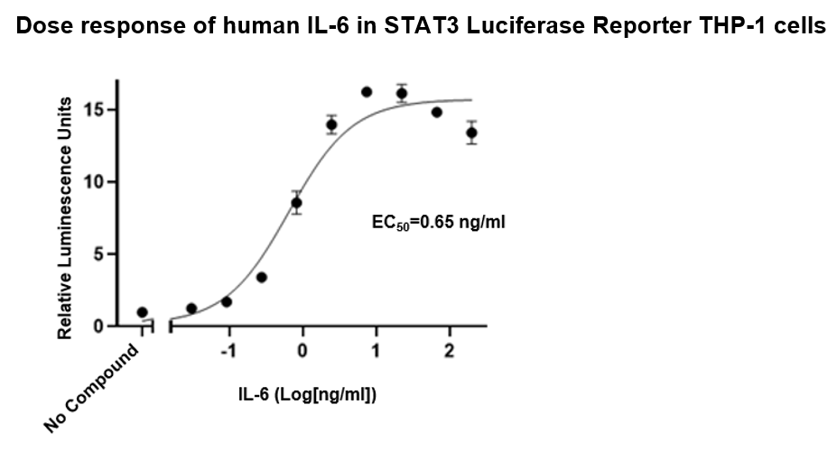 STAT3 Luciferase Reporter THP-1 Cell Line