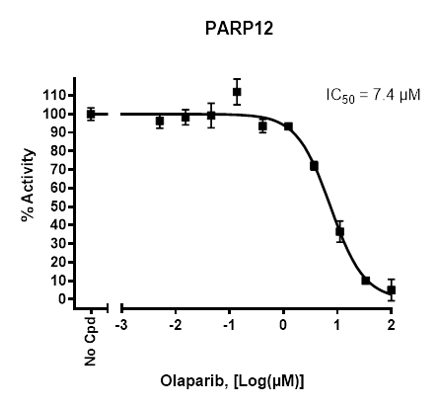 PARP12 Chemiluminescent Assay Kit