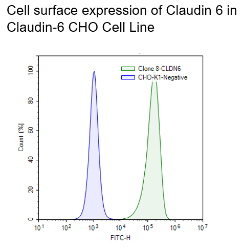 Claudin-6 CHO Cell Line (High, Medium, or Low) Expressions