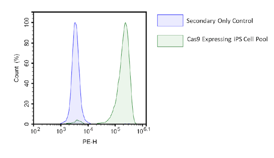 Oct4 Expression in Cas9 Expressing iPS Cell Pool by flow cytometry.