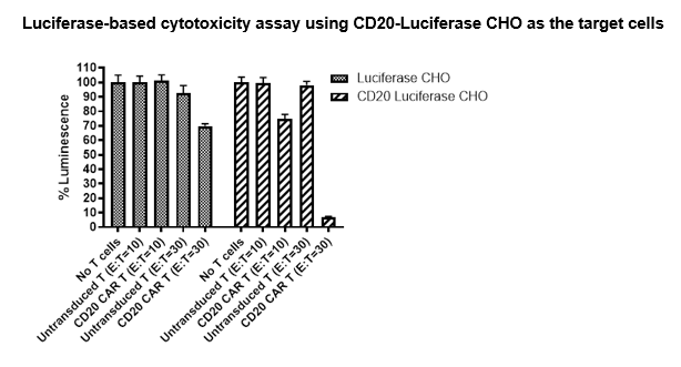 Anti-CD20 CAR Lentivirus (Clone Leu-16 ScFv-CD8-4-1BB-CD3aeta)