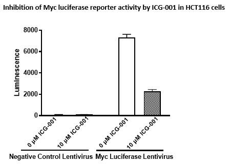 Myc Luciferase Reporter Lentivirus