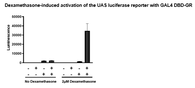UAS Luciferase Reporter Lentivirus
