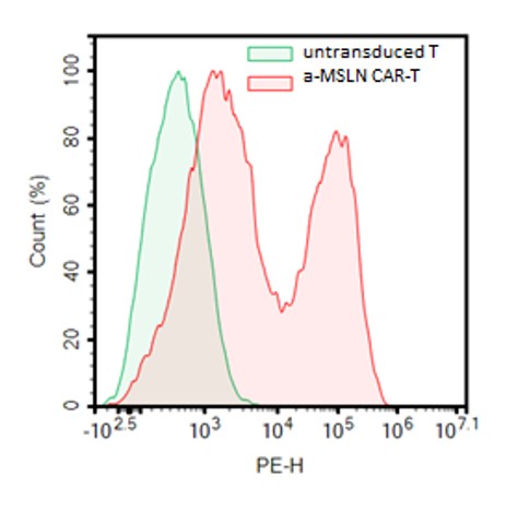 Anti-Mesothelin CAR-T Cells