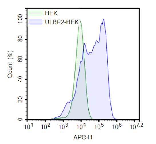 Expression of human ULBP2 in HEK293 cells transduced with ULBP2 lentiviruses