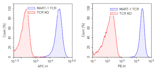 Expression of MART-1 TCR in MART-1 TCR (DMF4) CD8+ NFAT-Luciferase Reporter Jurkat cells.