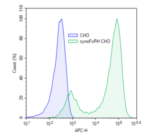 Expression of FcRL5 in CHO-K1 cells using cynomolgus FcRL5 lentivirus.