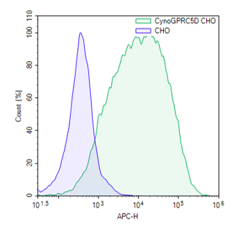 Expression of GPRC5D in CHO-K1 cells using cynomolgus GPRC5D lentivirus.