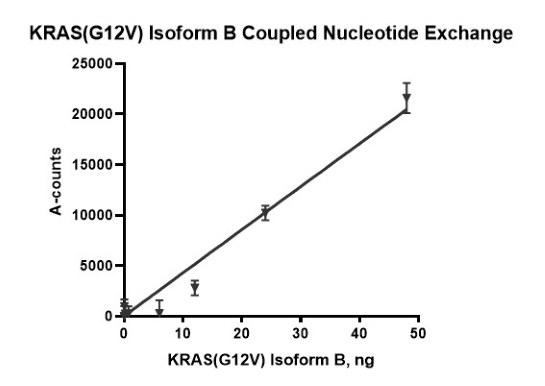 KRAS(G12V) Isoform B Coupled Nucleotide Exchange Assay Kit