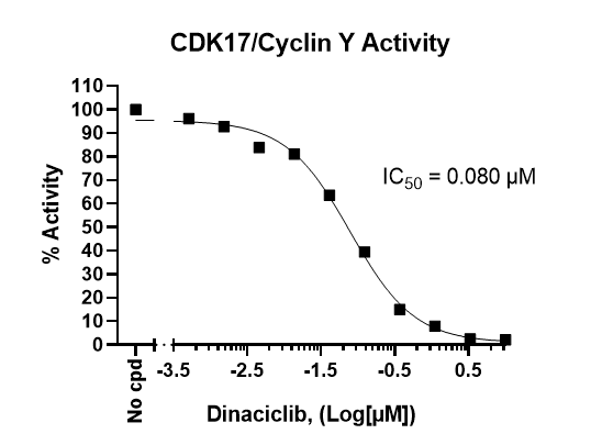 Inhibition of CDK17/Cyclin Y kinase activity by Dinaciclib