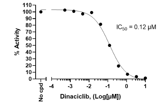Inhibition of CDK16/Cyclin Y kinase activity by Dinaciclib.