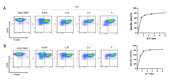 Flow cytometry analysis of the cytotoxicity profile of expanded NK cells