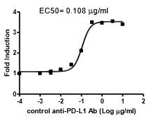 PD-1:PD-L1 Cell-Based Inhibitor Screening Assay Kit