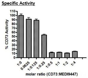 Anti-CD73 Antagonist Antibody