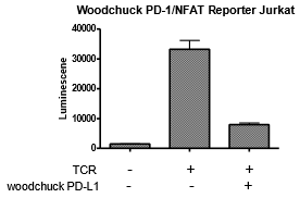 Woodchuck PD-L1 / TCR Activator Mammalian Expression Kit