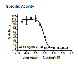 Anti-VEGF Neutralizing Antibody